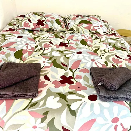 A Charming Corner On The Promenade Des Anglais